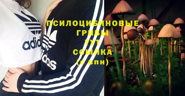 трава Армянск