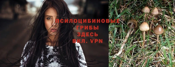 эйфоретик Аркадак